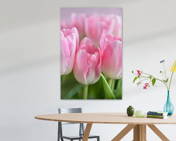 Pastel zacht roze tulpen art print - lente botanisch natuurfotografie van Christa Stroo fotografie