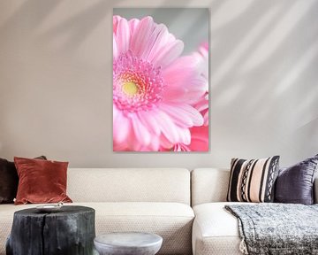 Gros plan sur un gerbera rose tendre sur Christa Stroo photography