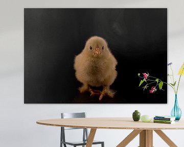 Flauschiges Osterküken von DroomGans