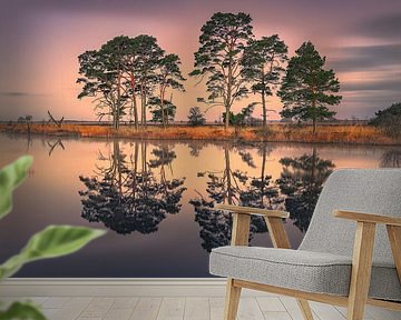 Sunrise in the Dwingelderveld National Park by Henk Meijer Photography