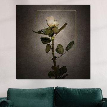 Graceful white Rose | vintage style gold by Melanie Viola
