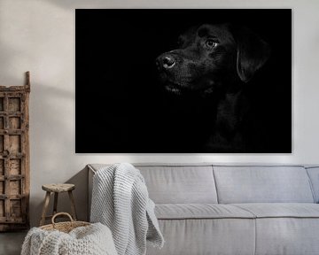 Labrador portret van Markus Weber