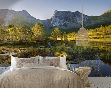 The white reindeer by Rainer Mirau