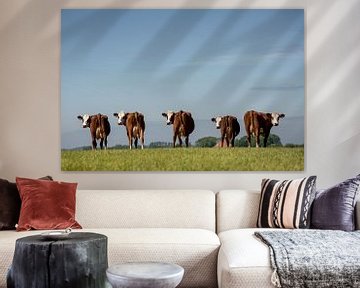 Blaarkop koeien in Nederlands Landschap van Els Korsten