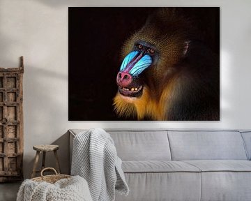 De glimlachende Mandrill van Eduard Lamping