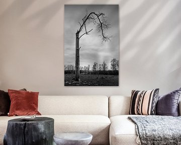How a black and white photo of nature can add colour to your interior by Jacques Jullens