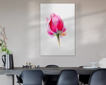 Tulip Art by Jacqueline Gerhardt