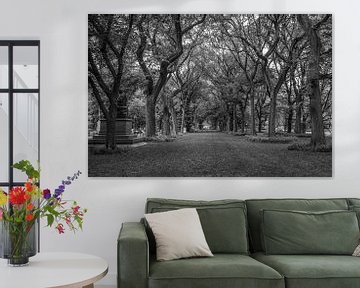 Central Park, New York van Vincent de Moor