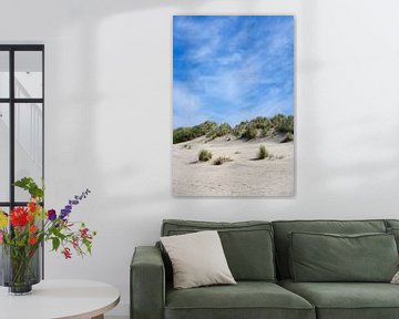 Dune grass on the beach on Baltrum by Anja B. Schäfer