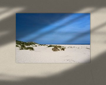 Strand mit Dünengras am Meer von Anja B. Schäfer