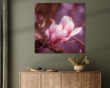 Macro roze bloesem magnolia met bokeh in de lente van Dieter Walther