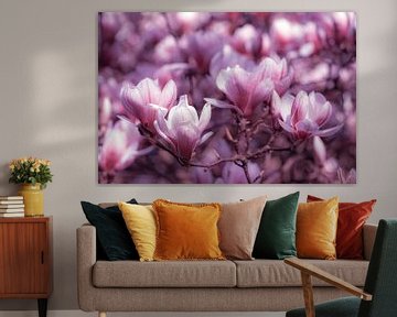 Macro roze tinten bloesem magnolia met lente bokeh van Dieter Walther