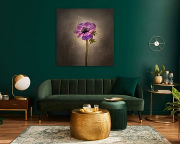 Fleur gracieuse - anémone couronne | style vintage or sur Melanie Viola