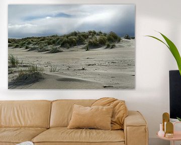 Duinen aan het oostelijke strand van Baltrum van Anja B. Schäfer