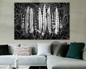 Macro van zachte veertjes in zwart wit van Lisette Rijkers