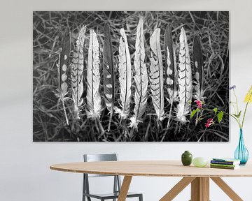 Soft feathers with beautiful patterns in black and white by Lisette Rijkers