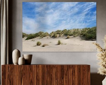 Dune grass on the beach on Baltrum by Anja B. Schäfer