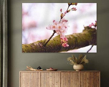 Pink blossom on a branch by Merel Pape Photography