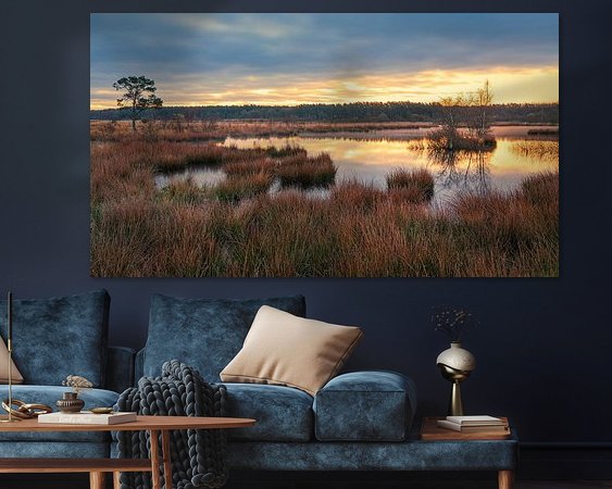 Aperçu de la chambre