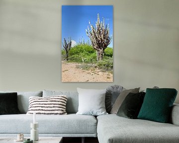 Cactussen in Christoffelpark op Curacao van rene marcel originals