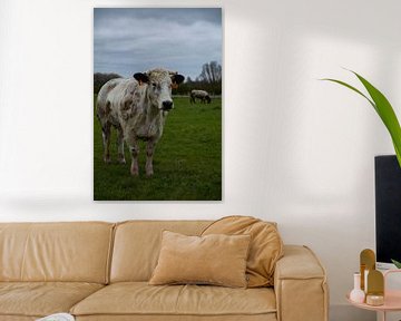 koe in de wei van Hartsema fotografie