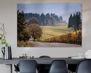 Vineyards in autumn in Oregon by Erwin van Oosterom