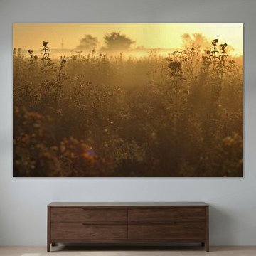 Morgenstond heeft goud in de mond