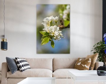 Blüte im Frühling von John van de Gazelle fotografie