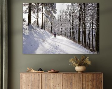 Randonnée ensoleillée dans la neige en Allemagne 2