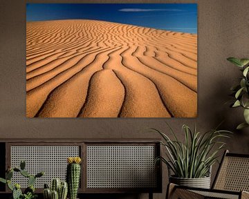 Imperial Sand Dunes USA van Peter Schickert