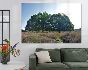 Twee bomen in de zon van Jurjen Jan Snikkenburg