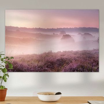 Ein nebliger Morgen auf der Heide von Monique van Genderen (in2pictures.nl fotografie)