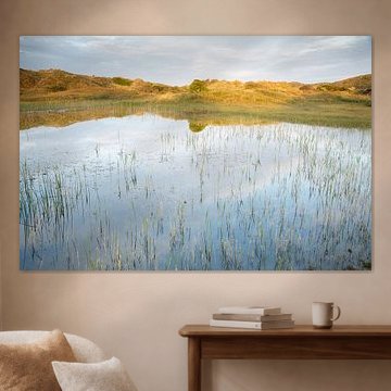 Das Tal der Libellen in Meijendel - Teil 2