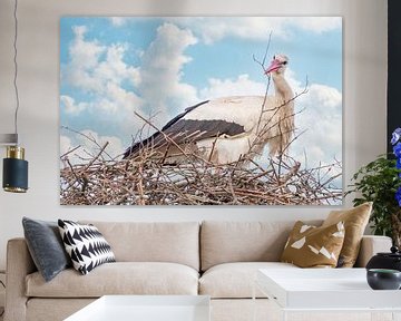 A stork stands in the nest, twig in its beak. Blue sky with white clouds in the background. Soft col