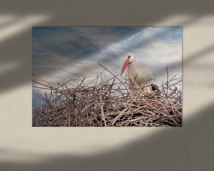Sfeerimpressie: Een ooievaar staat in het nest, blauwe  met witte lucht  in de achtergrond. wenskaart, geboorte . van Gea Veenstra