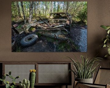 Oldtimer in the swamp 3 by Aurelie Vandermeren