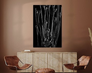 Nature Morte - Papaver (zwart-wit) van Remke Spijkers