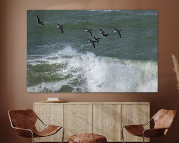 Group of Brent Geese above a wild surf by Marcel Klootwijk