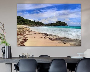 Dream stand in the Seychelles