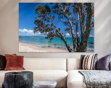 Lonely coast near Kuaotunu Bay, New Zealand by Christian Müringer