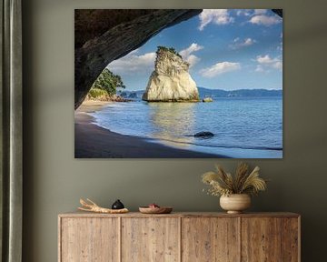 Coast near Cathedral Cove, New Zealand by Christian Müringer