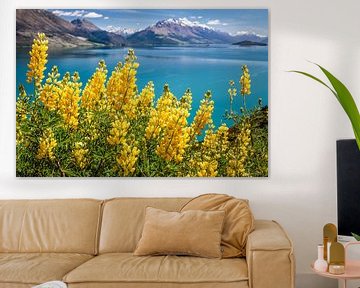 Gelbe Lupinen am Lake Wakatipu, Neuseeland