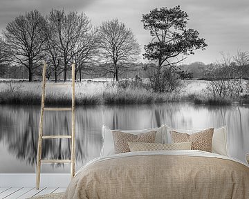 Dwingelderveld National Park in Black and White by Henk Meijer Photography