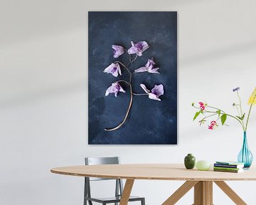 Botanisch donker stilleven, gedroogde orchidee van Joske Kempink