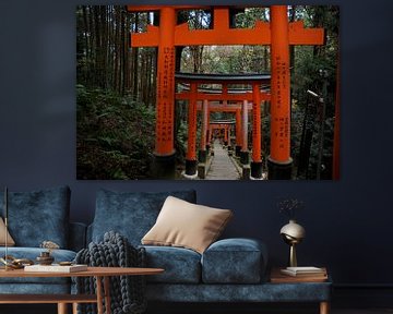 Fushimi Inari-taisha van Emi Barendse