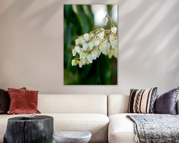 Botanische witte bloemen kunst | fine art bloemen fotografie