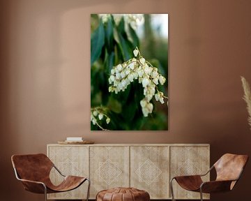 plantes botaniques et fleurs art | photographie d'art floral sur Karijn | Fine art Natuur en Reis Fotografie