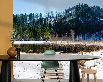 Schwanseepark im Winter