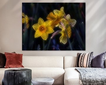 Glass Daffodils