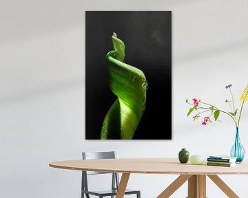 Groen van een tulp van Rik Verslype